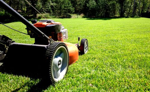 Уход за газоном — стрижка и обслуживание