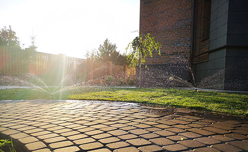 Комплексное озеленение с автополивом