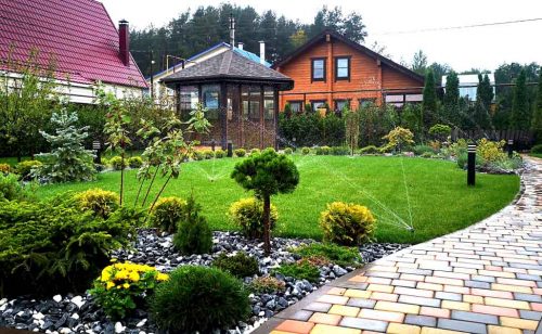 Рулонный газон на частном участке