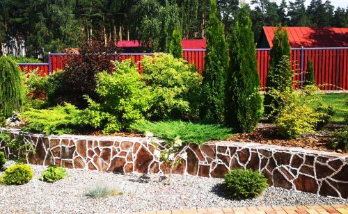 Готовый рулонный газон возле дома